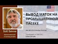 Вывод маток на промышленной пасеке Боба Бинни (США) - Как вывести пчелиную матку самому?