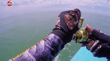 #7 Câu được cá mú hiếm tại biển Vũng Tàu That