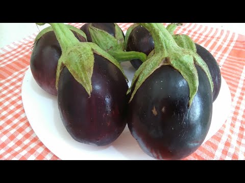 Video: Mərcan Tarifi: Doldurulmuş Patlıcan