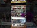 秩父ふるさと館https://www.city.chichibu.lg.jp/6018.html