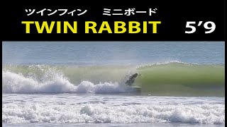 Twin Rabiit】pink rabbitのツインフィンver - YouTube
