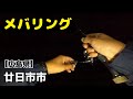【広島釣り】どうしてもメバルが釣りたくて久しぶりに海に行ってみました🎣