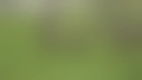 Player Brutally Knocks Out Referee