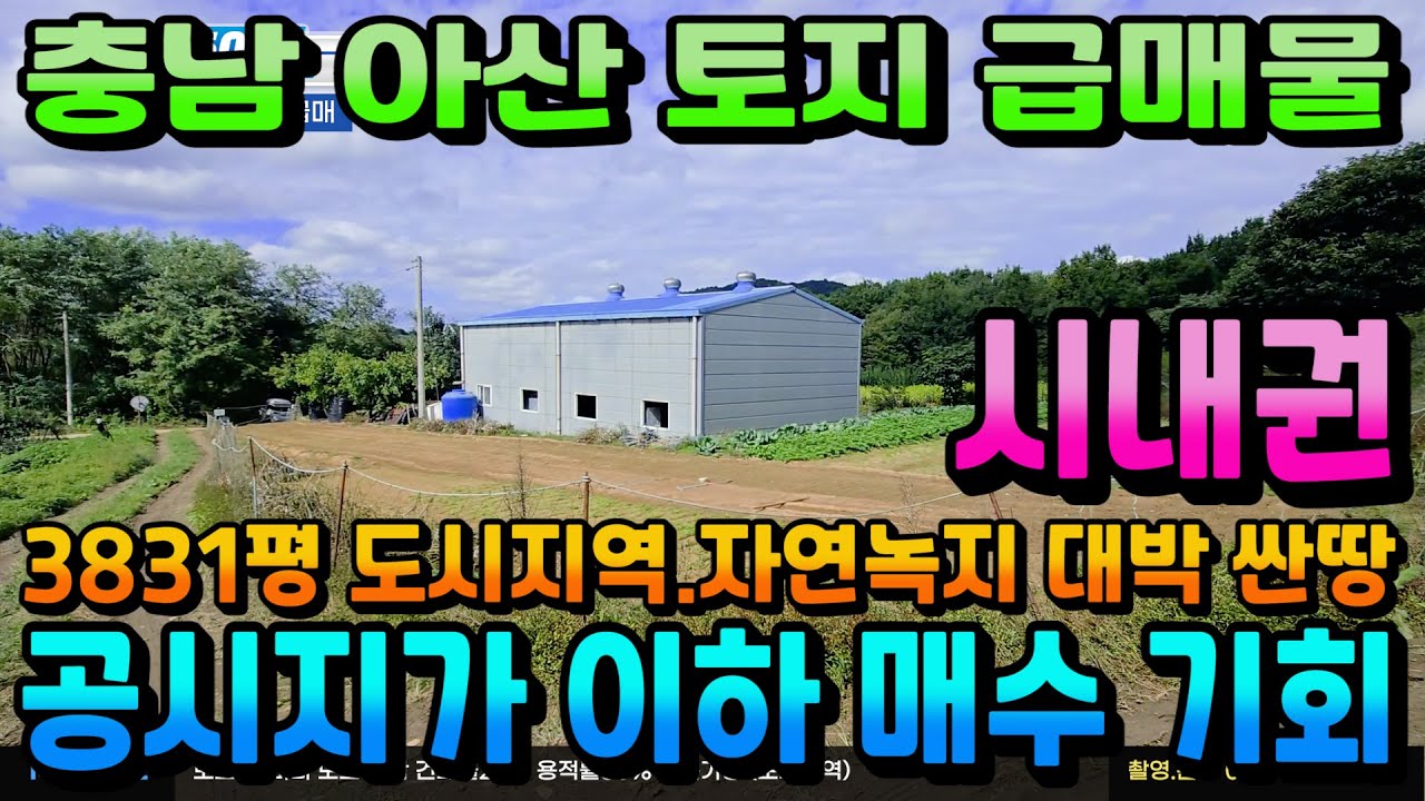 NO.450아산토지매매  공시지가 이하! 아산 신인동 초대박 토지 급매 창고는 덤!! 가격에 놀라지 마세요 시내권 최저가 대박토지매물