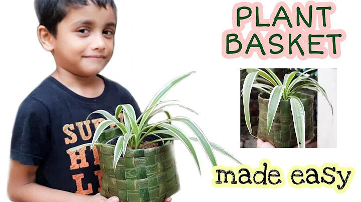 How to make coconut leaf square basket