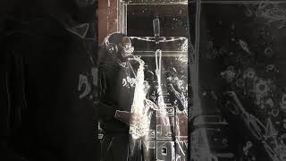 Lone Sol Cover @animalsasleaders  - Red Miso Full Take #animalsasleaders  #lonesol #covers
