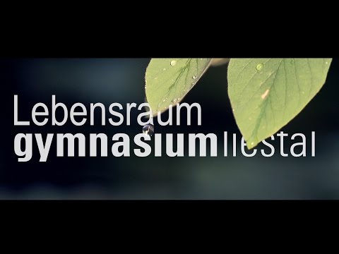 Lebensraum GymLiestal (Imagefilm)