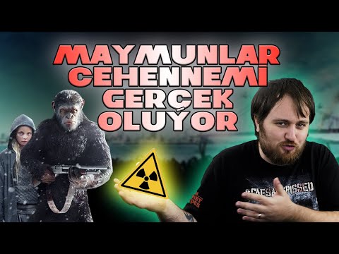 Şimdiki Maymunlar \