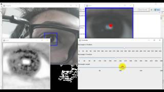 Eye Tracking For Computer Control in Java ( Test Stage )