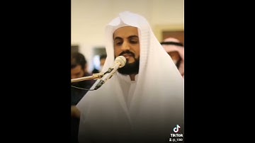 تلاوة عراقية بصوت القارئ رعد الكردي 😴🤍      #قرآن #رعد_الكردي #quran