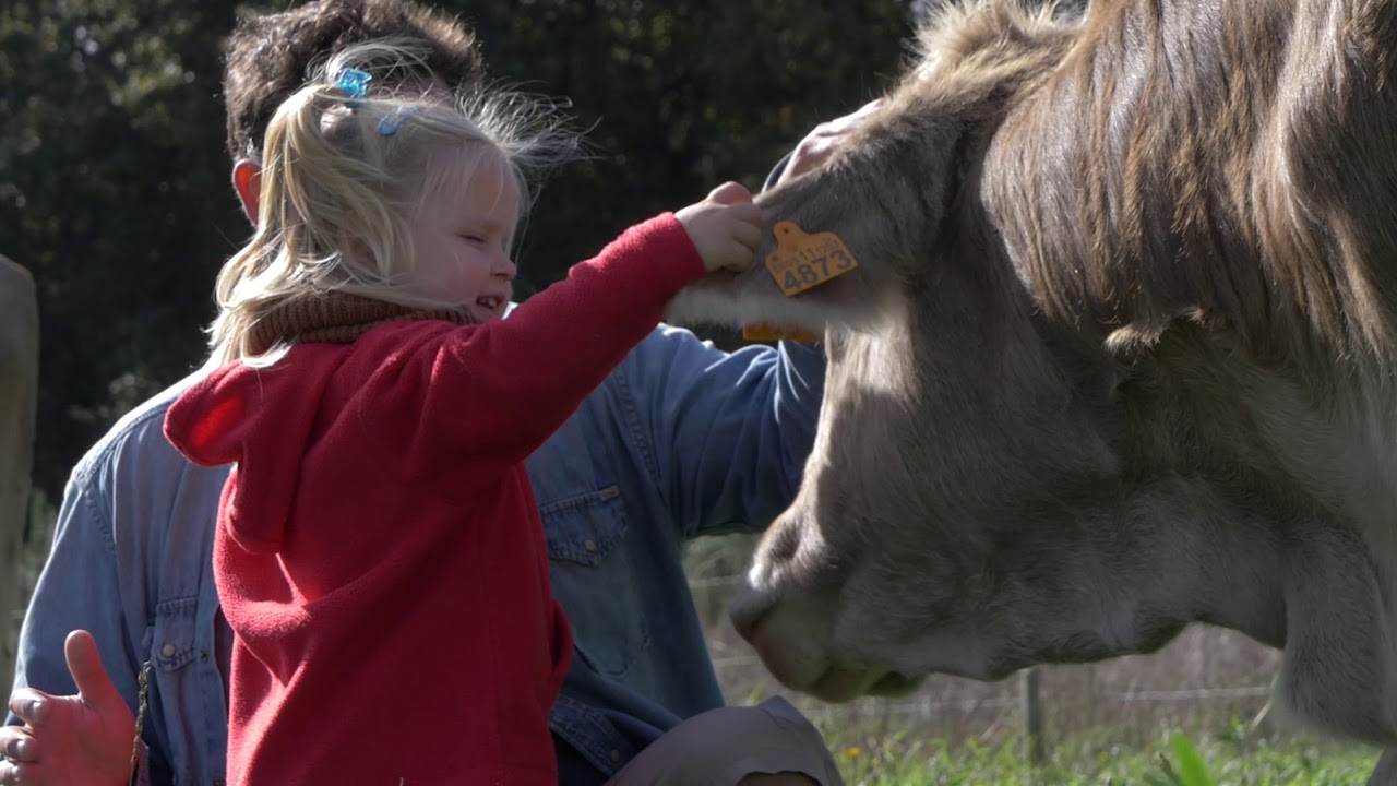 ECOAGROTURISMO ARQUEIXAL: UNHA ESCOLA DE VIDA.