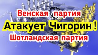 3)  Атакует Чигорин ! Венская+Шотланская партия!  Три в одном.