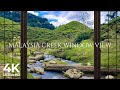 4K Cameron Highlands Creek Malaysia Window View - Serene, Relaxing, Nature Ambience, White Noise