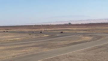 AFM 2017 Round-7 sat. race-1 lap-1 Buttonwillow 10/21/17 21-oct-2017