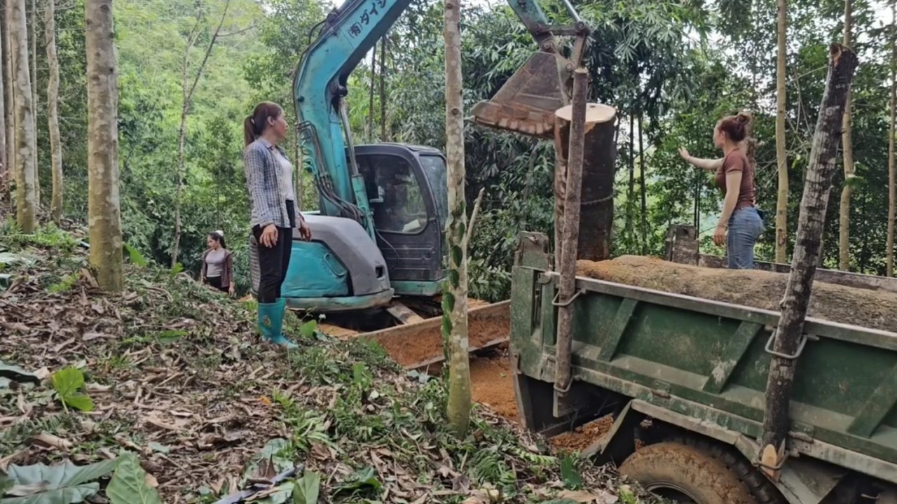 Excavators dug earth to clear a path up the hill, then used cranes to load giant logs onto trucks.