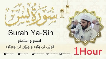 سورة ياسين اسمع و اعتزل من الدنيا Surah - Ya-Sin 1-Hour
