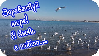 Доброе Утро! 🌸Здравствуй Море!🌸 Я Вновь С Тобою...🌸Прекрасный Морской Видеоролик!🌸Good Morning!🌸