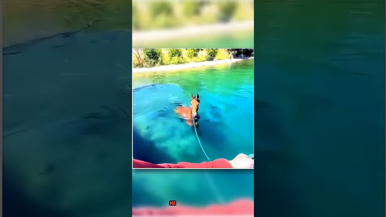 Dubai ke Shekh Jab Ghoda Lete Hai #movie #shortsfeed #dubaiartist #dubai