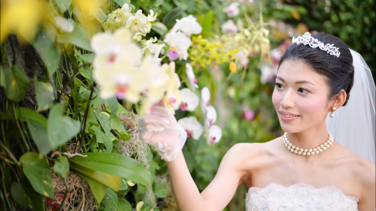 Bride Chisa Bride Chisa