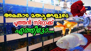 അലങ്കാര മത്സ്യങ്ങളുടെ പുത്തൻ കളക്ഷൻസ് | World of Ornamental Fish| Latest Collection Of Aquarium Fish