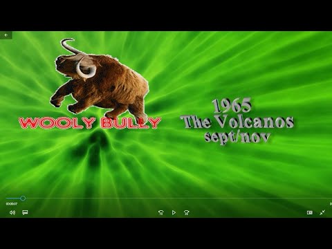 1965   Volcanos   Wooly Bully