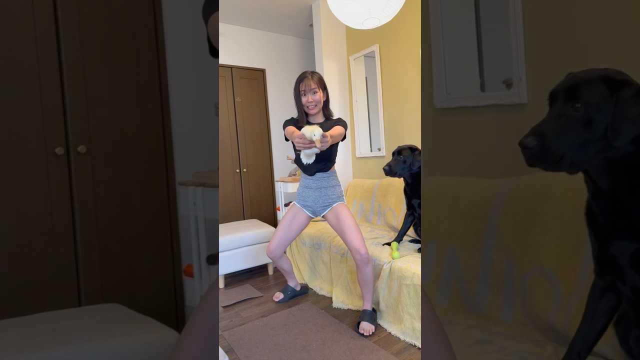 我が子たちを召喚ッ‼️ #shorts