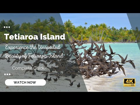 The Brando Tetiaroa Island 4k Vlog French Polynesia - Society Islands