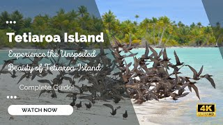 The Brando Tetiaroa Island 4k Vlog French Polynesia - Society Islands