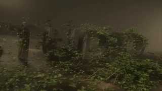 Cinema 4D - Ivy Grow (By V&S Studios)