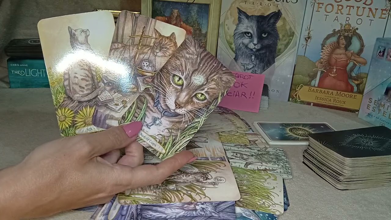 TE VAS A QUEDAR SORPRENDIDA😱 CUANDO SEPAS LO QUE ESTA PERSONA HABLÓ ❤️‍🩹 NUNCA PENSO QUE TE PERDERÍA