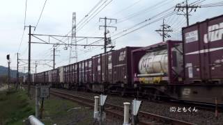 東海道本線 穂積 - 柏原 2012/11撮影 EF66 その1