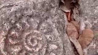 Otates y Cantarranas - Nayarit - Mexico - Petroglyphs
