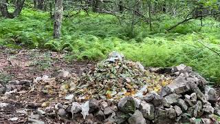 COMPOST PILE @ Mountain Ridge Farm