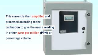 Operating Principles of Electrochemical Gas Sensors