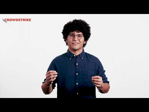 Under the Wing: Cross-Domain Insight with Falcon Insight XDR
