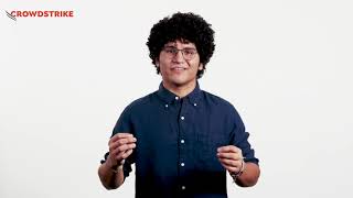 Under the Wing: Cross-Domain Insight with Falcon Insight XDR