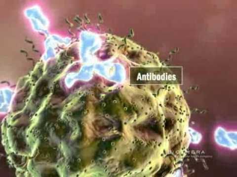 Video: Beta Glucan Og Kreft: Immunterapi Som Kreftbehandling