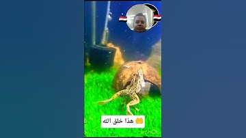 #قرآن #اكسبلور #المصحف #الرحمن #تلاوة_خاشعة #تلاوة_هادئة #الريتش_في_ذمة_الله #راحة_نفسية #لايك