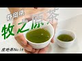 【産地茶No.14】静岡県 牧之原茶の特徴とおすすめの淹れ方