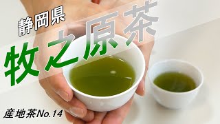 【産地茶No.14】静岡県 牧之原茶の特徴とおすすめの淹れ方