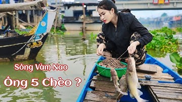 Giăng Câu Mưu Sinh Ở Cồn Cát Nổi Giữa Sông Vàm Nao | #fishing #lifeinvietnam