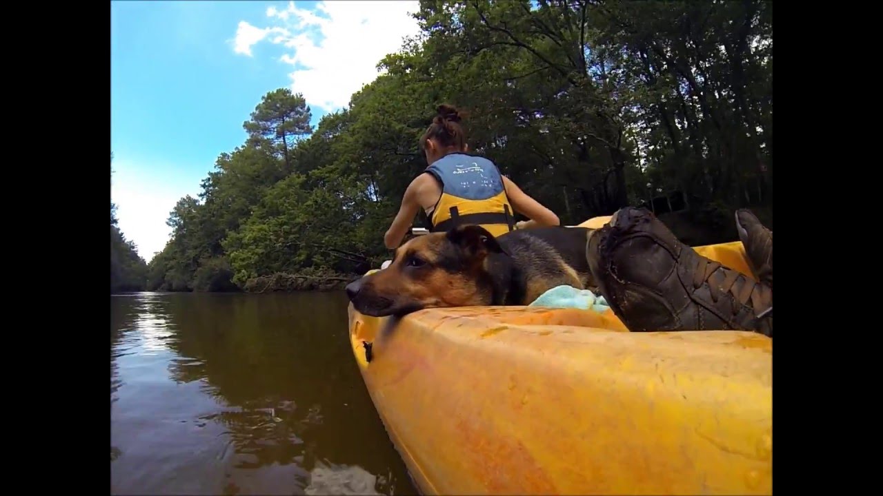 Courant d'Eyre location canoë kayak Biganos YouTube