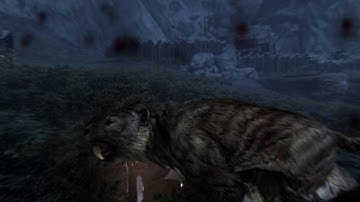 The Fugitive and the Hunter