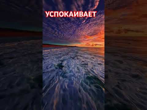 #xorazmgalini #rulet #baqlajon #osonretsept #mazali #tezvaoson#музыка #memes #музыкант #music