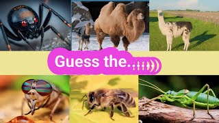 quiz monster| can you guess the animals  in 3 second