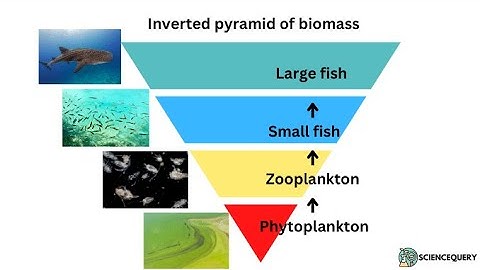 Module 1-2 Discussion Video Response