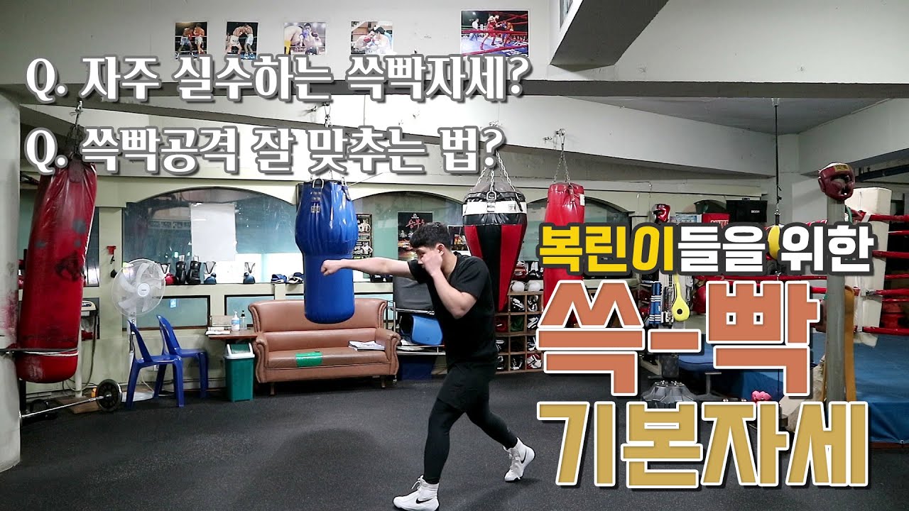 [복싱즐기기기본] 한국챔피언과 함께 배워보는ㅎㅎ 쓱빡의 기본자세