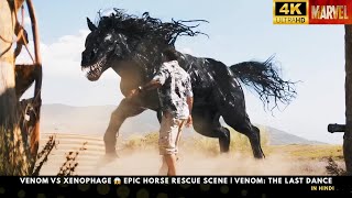 Venom Vs Xenophage Epic Horse Rescue Scene Venom The Last Dance 4K Ultra Hd