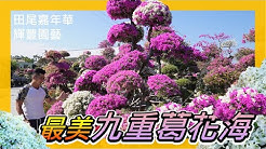 伊恩愛種花 Youtube