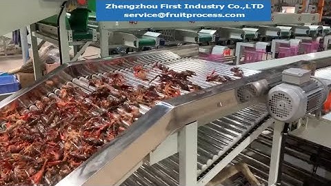 crayfish shrimp sizing machine, lobster grading sorting machine